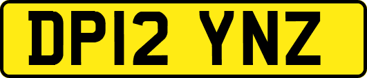 DP12YNZ
