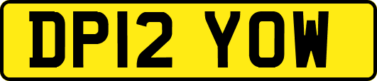 DP12YOW