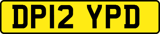 DP12YPD