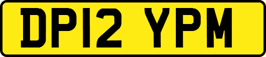DP12YPM