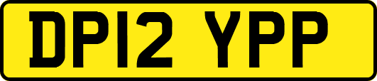 DP12YPP