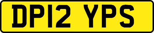 DP12YPS