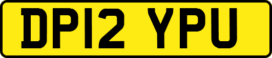 DP12YPU