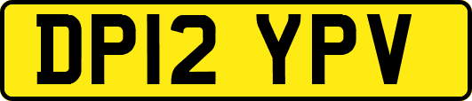DP12YPV