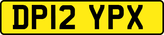 DP12YPX