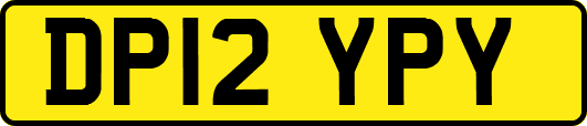 DP12YPY