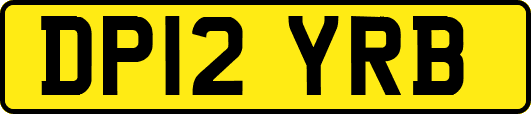 DP12YRB