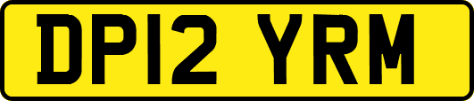 DP12YRM