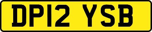 DP12YSB