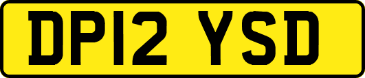 DP12YSD