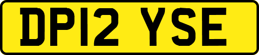 DP12YSE