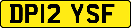 DP12YSF