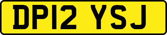 DP12YSJ