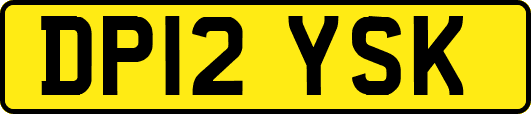 DP12YSK