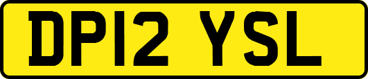 DP12YSL