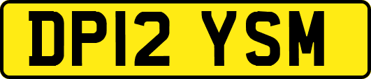 DP12YSM