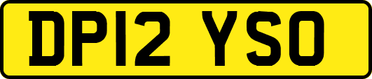 DP12YSO