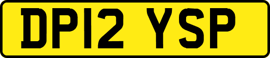 DP12YSP