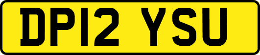 DP12YSU