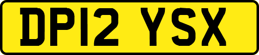 DP12YSX