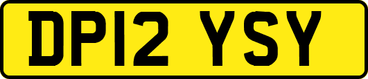 DP12YSY