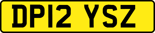 DP12YSZ