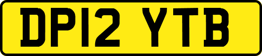 DP12YTB