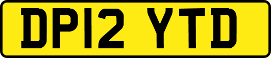 DP12YTD