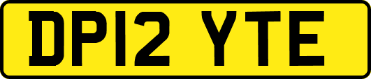 DP12YTE