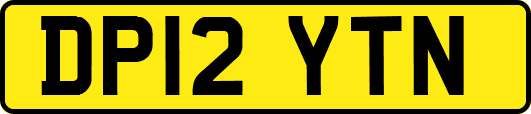 DP12YTN