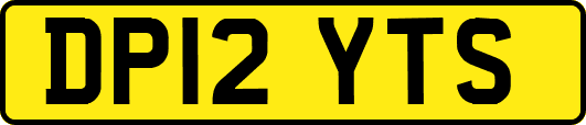 DP12YTS