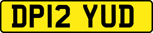 DP12YUD
