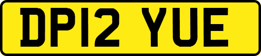 DP12YUE
