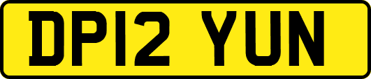 DP12YUN