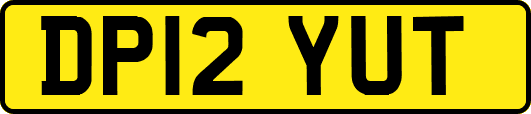 DP12YUT