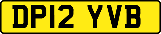 DP12YVB