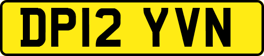 DP12YVN