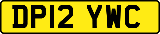 DP12YWC