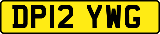 DP12YWG