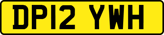 DP12YWH