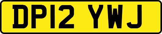 DP12YWJ