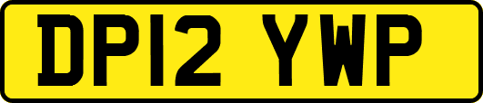DP12YWP