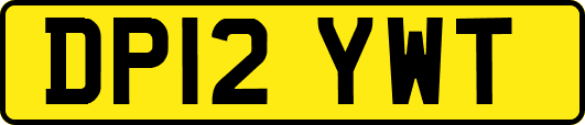 DP12YWT