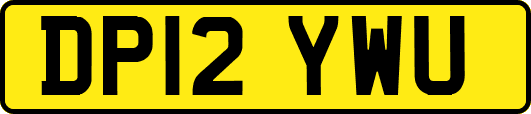 DP12YWU