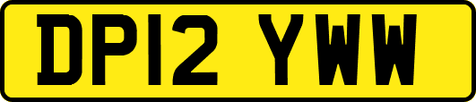 DP12YWW