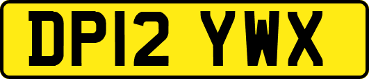 DP12YWX