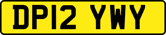 DP12YWY
