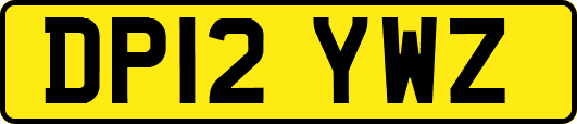DP12YWZ
