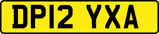 DP12YXA