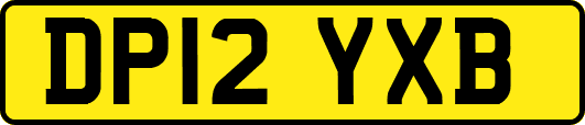 DP12YXB